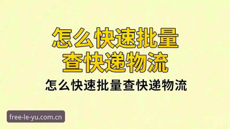 乐鱼登录不掉线2026最新版本 乐鱼登录不掉线2026 vs 传统体验:稳定与卡顿的全面对比